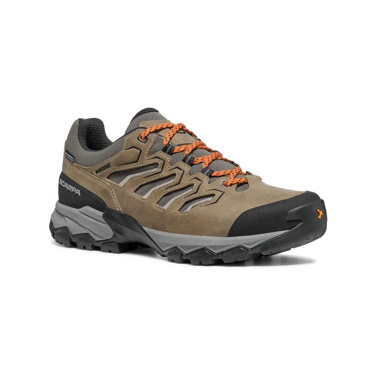 Men's Moraine Trail shoe
